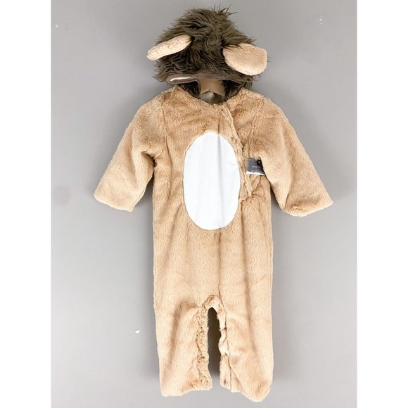 Pottery Barn Kids Costumes Baby Lion Pottery Barn Kids Halloween